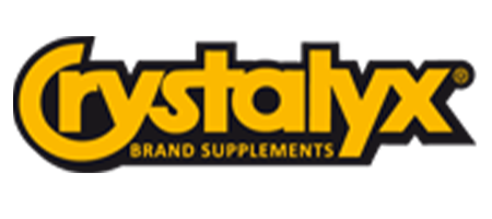 crystalix logo